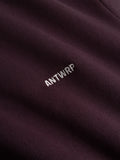Antwrp - Sweater - Bordeaux