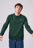 Antwrp - Sweater - Groen
