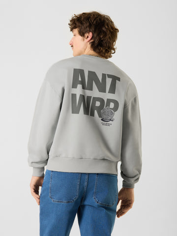 Antwrp - Sweater - Lichtgroen