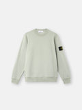 Stone Island sweater saliegroen heren