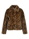 Leo&Ugo - Veste - Brun foncé