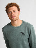 Petrol - Sweater - Groen